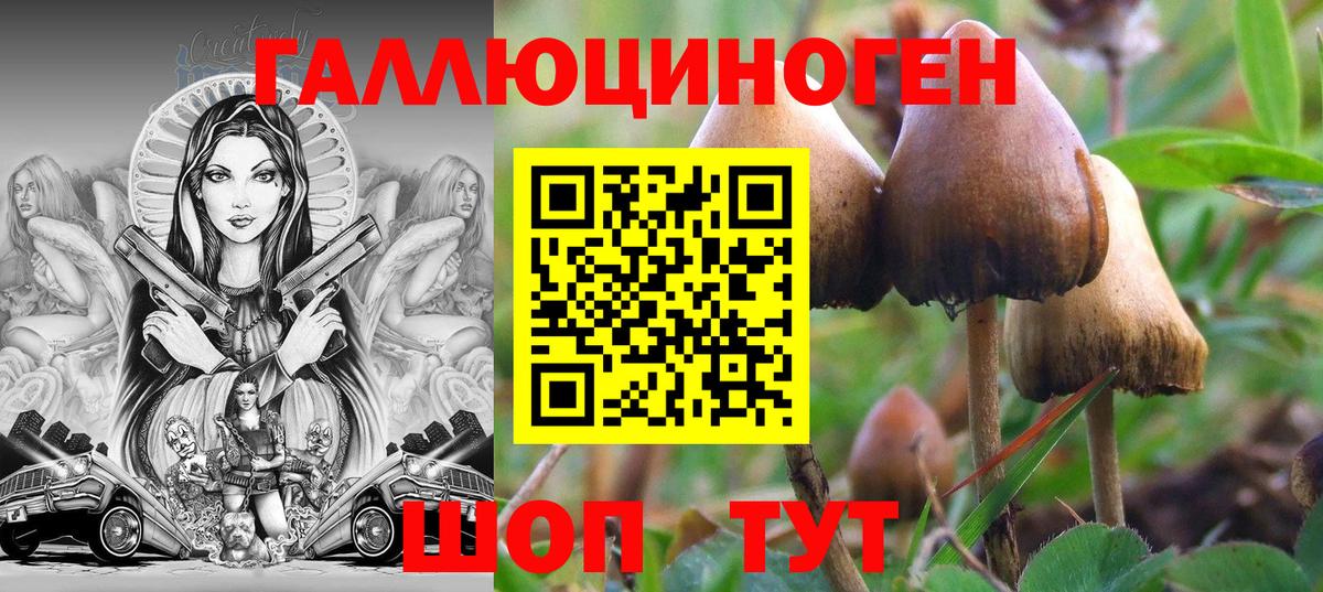 Псилоцибиновые грибы Psilocybe  Вход с VPN  Миасс 